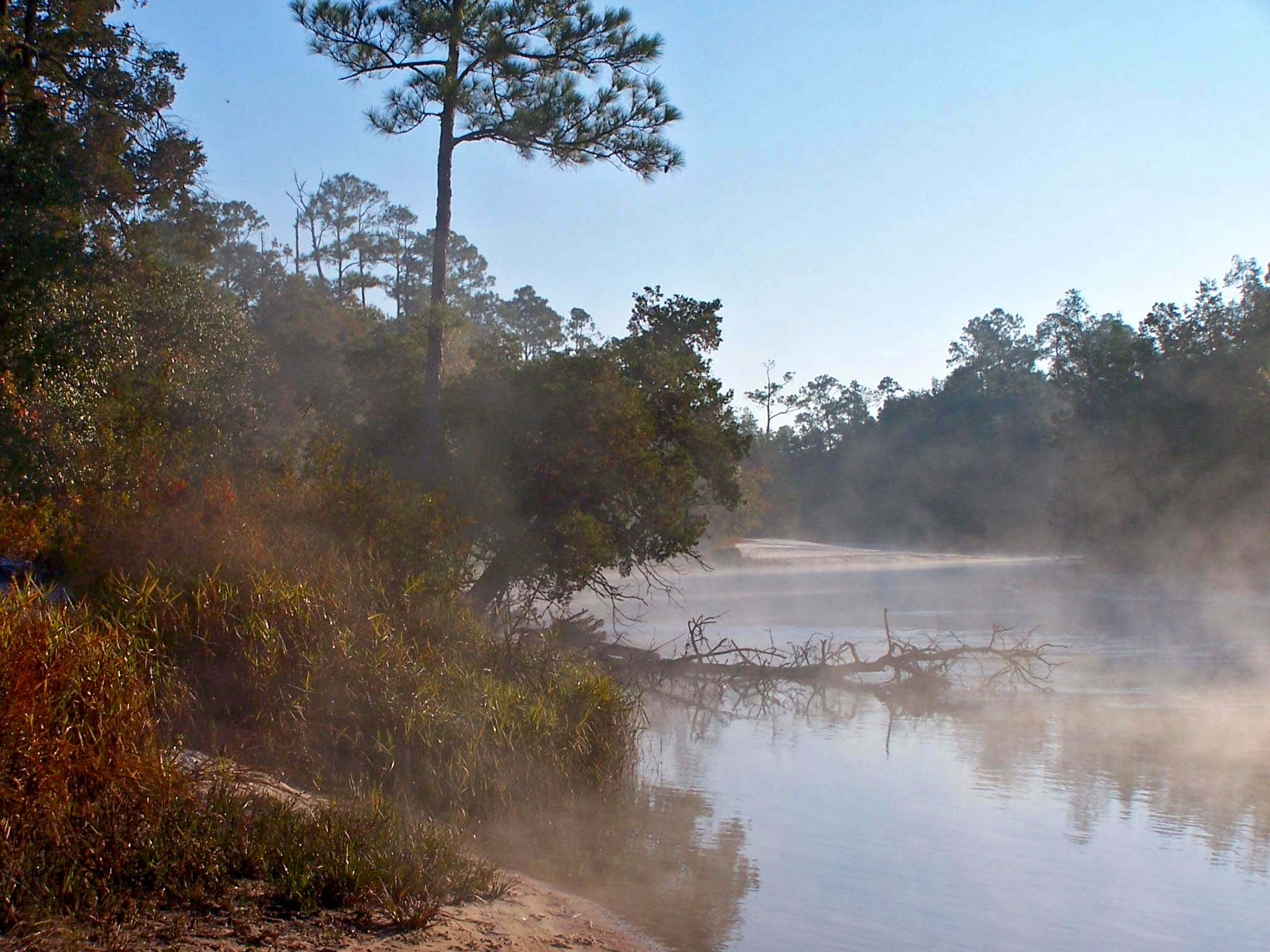 Blackwater River State Park seeks to improve park for visitors