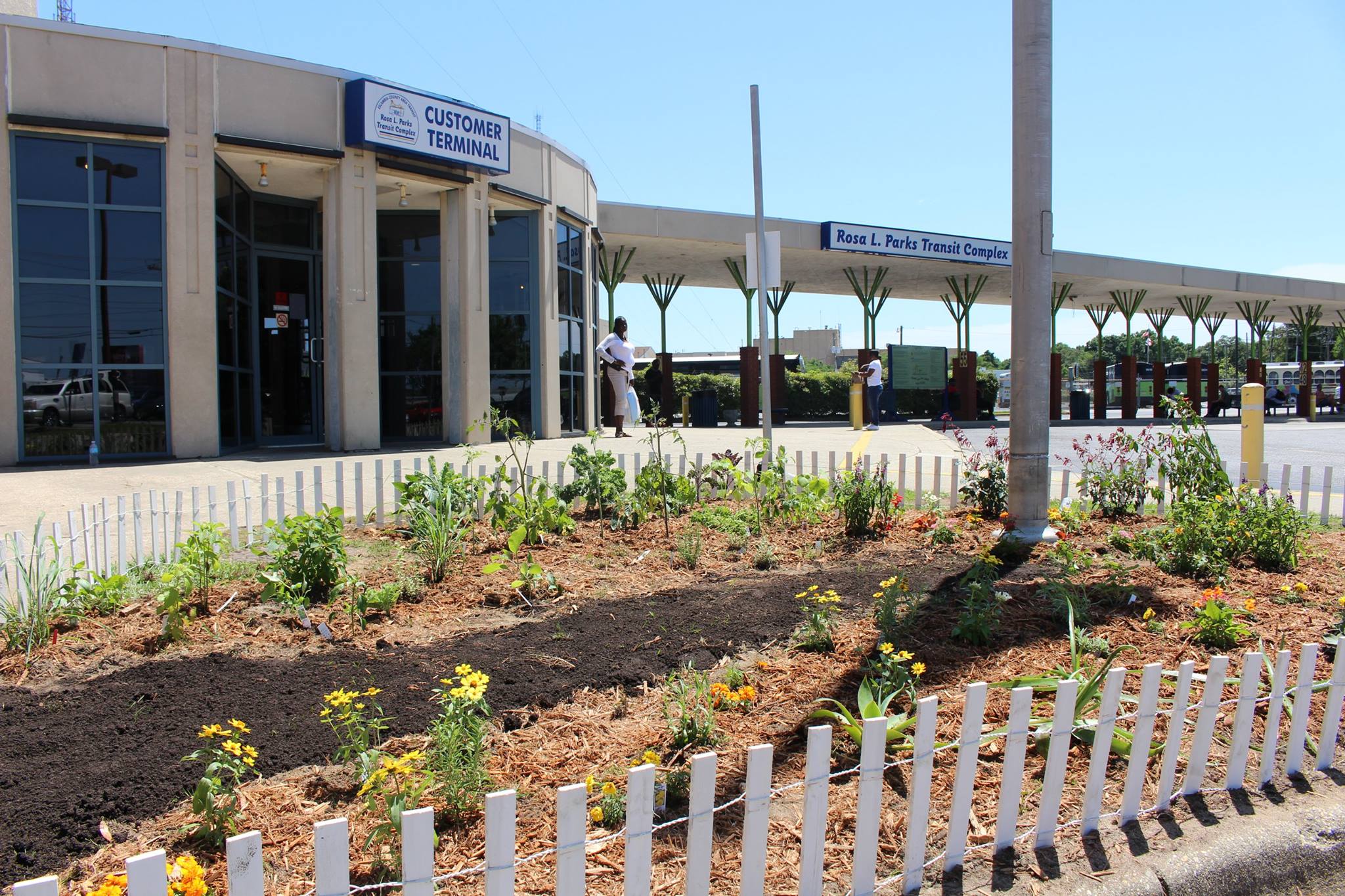 ECAT offers complimentary summer pass to Bay area youth