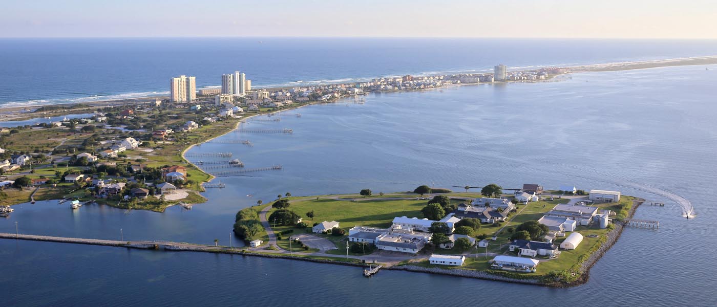 Pensacola “giant dead zone” for sharks
