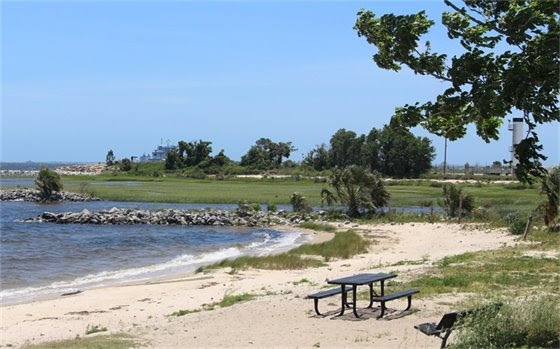Bruce Beach has re-opened!