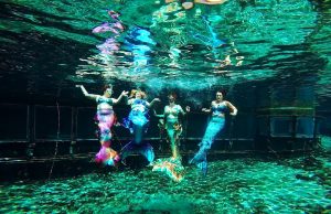 Mermaid Camp for Adults over 30