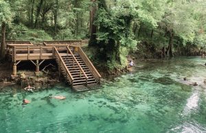 The perfect 30(ish) hour NW Florida Spring Itinerary