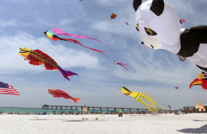 Learn How to Fly a Kite