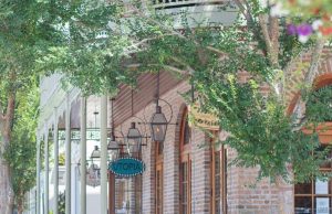 Do You Love Fairhope?