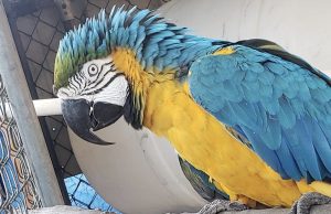 Have You Been to the Bird Park?