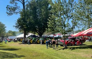 34th Annual Baldwin County Strawberry Festival