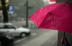 8 Themes for Rainy Day Activities in Pensacola