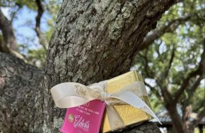 A Week of Hide & Seek just for Moms