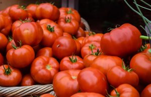 Teachers, Tomato Farmers & First Summer Jobs