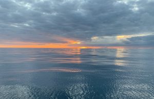 Celebrating World Ocean Day June 8