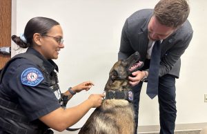 PPD Welcomes Bear, Bo, Jax & Cino