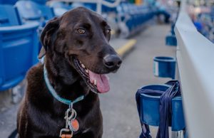 Summer’s not over at Blue Wahoos Stadium
