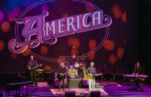 Local Pulse’s Weekend Top 10