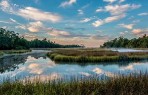 National Parks Fee Free Friday