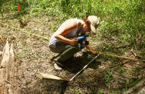 UWF’s Public Archaeology Network awarded $99,968