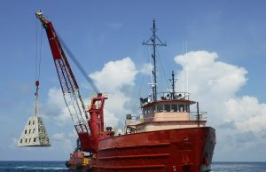 12 new SuperReef deployments