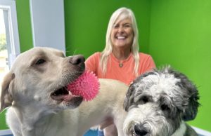Behind the Scenes: Happy Dog Resort
