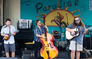 Local Pulse’s Weekend Top 10