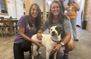 Tails are wagging for Pawdi Gras Sponsorships