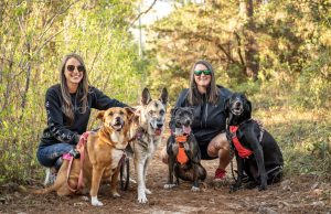 Join the WolfGang for Fun with Your Pup