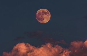 Local Pulse’s Weekend Top 10