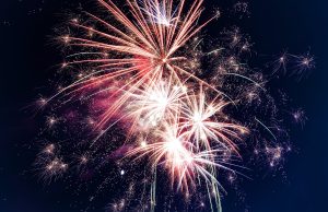Sober New Year’s Fireworks Cruise by Frisky Mermaid