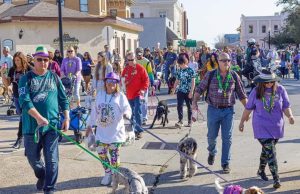 Local Pulse’s Weekend Top 10
