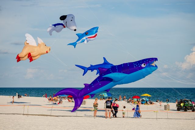 COA Kite Fest