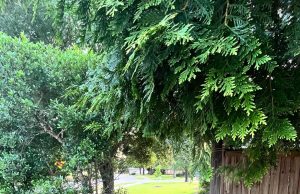 How to Carve A Well-Worn Path