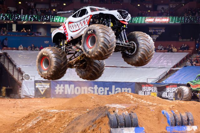 monster mutt dalmatian 23_001