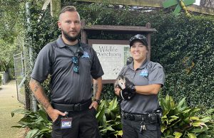 Escambia County Animal Welfare Rescues Injured Baby Opossum