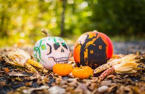 Local Pulse’s Weekend Top 10