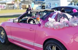 Fill the Trunk Charity Cruise October 12