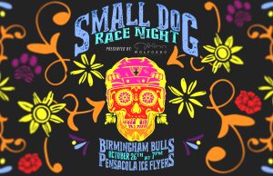 Hockey, Art, and Latin Heritage in Upcoming Small Dog Race Night