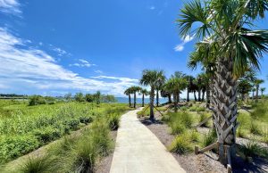 Bruce Beach Grand Opening Nov. 8