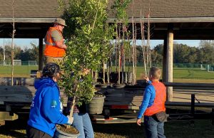 Escambia County Enhances Tree Canopy Through $50,000 Urban Forestry Grant