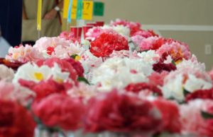 86th Annual Pensacola Camellia Club Show & Plant Sale