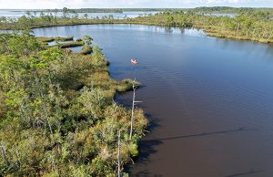 Pensacola and Perdido Bays Estuary Program Earns National Designation