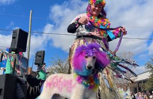 Get ready for Pensacola Pawdi Gras February 16