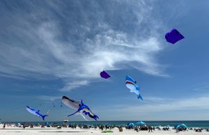 Gulf Winds Credit Union Kites on the Coast on Pensacola Beach