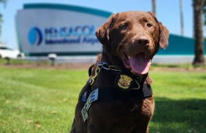 PPD and PNS Airport Introduce K-9 Jett