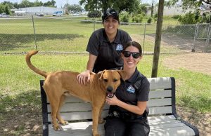 Escambia County Animal Welfare Rescues Viral Dog