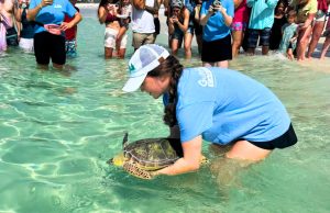 Riorson, Pee-wee & Peony Return to the Gulf