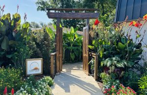 Golden Hour Yoga & Tea House: Rooted in Intention, Made for Connection