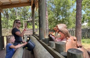 Giraffes, Hippos and Goats Oh My! A Day at the Gulf Breeze Zoo
