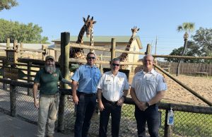 Brave By Nature: Hooves, Horns & Heroes