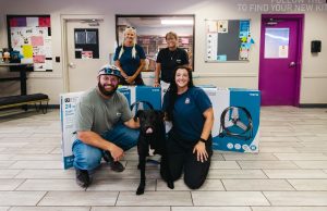 Intermission Helps Shelter Animals Beat the Heat