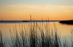Tourism to Gulf Islands National Seashore contributes 514M to local economy
