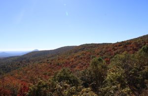 Unplugging in the Blue Ridge: A Journey to Reconnect and Recharge