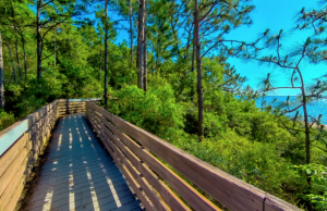 Community Input Welcomed on Bay Bluffs Park Project